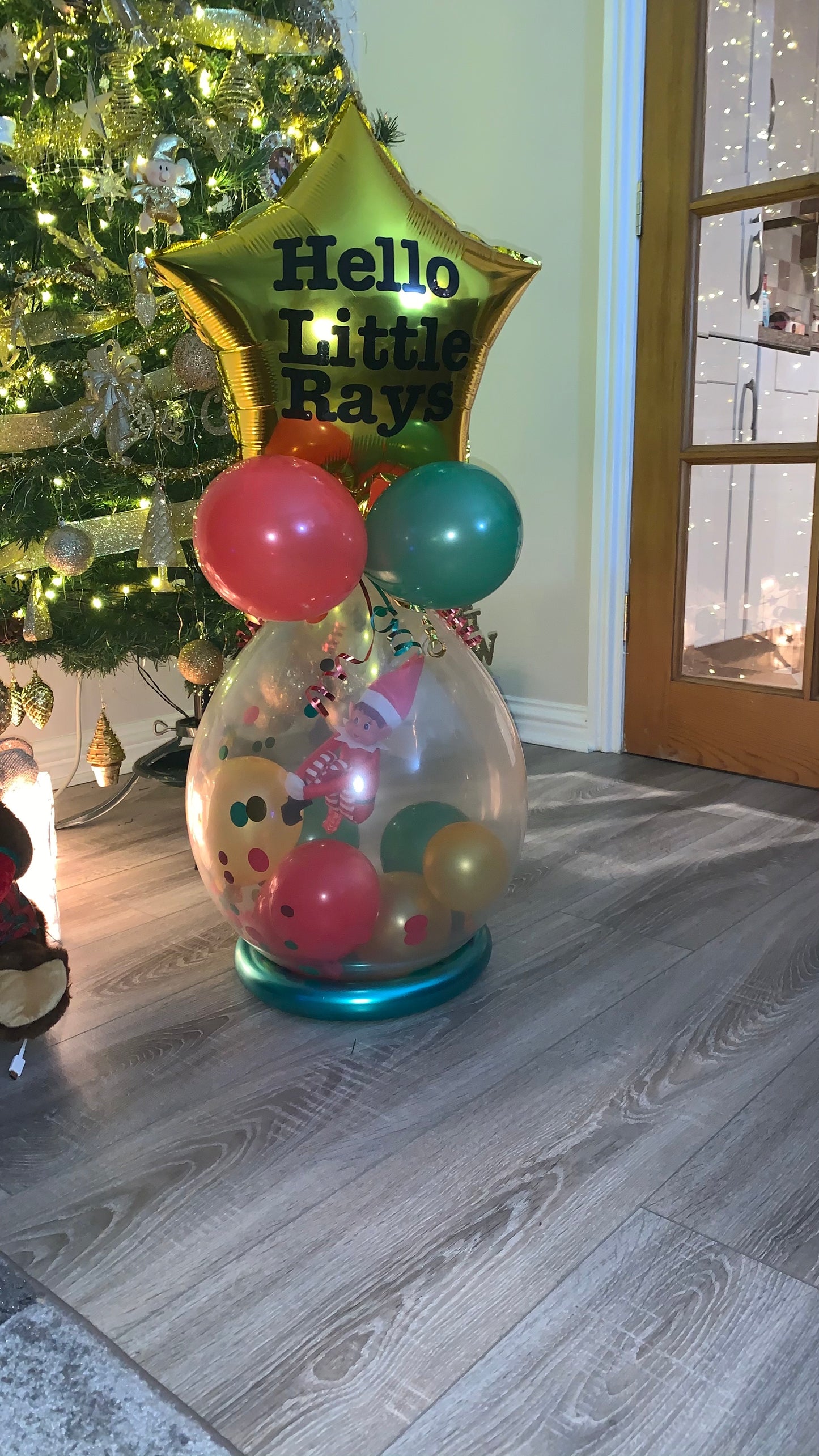 Elf Balloon arrival kit
