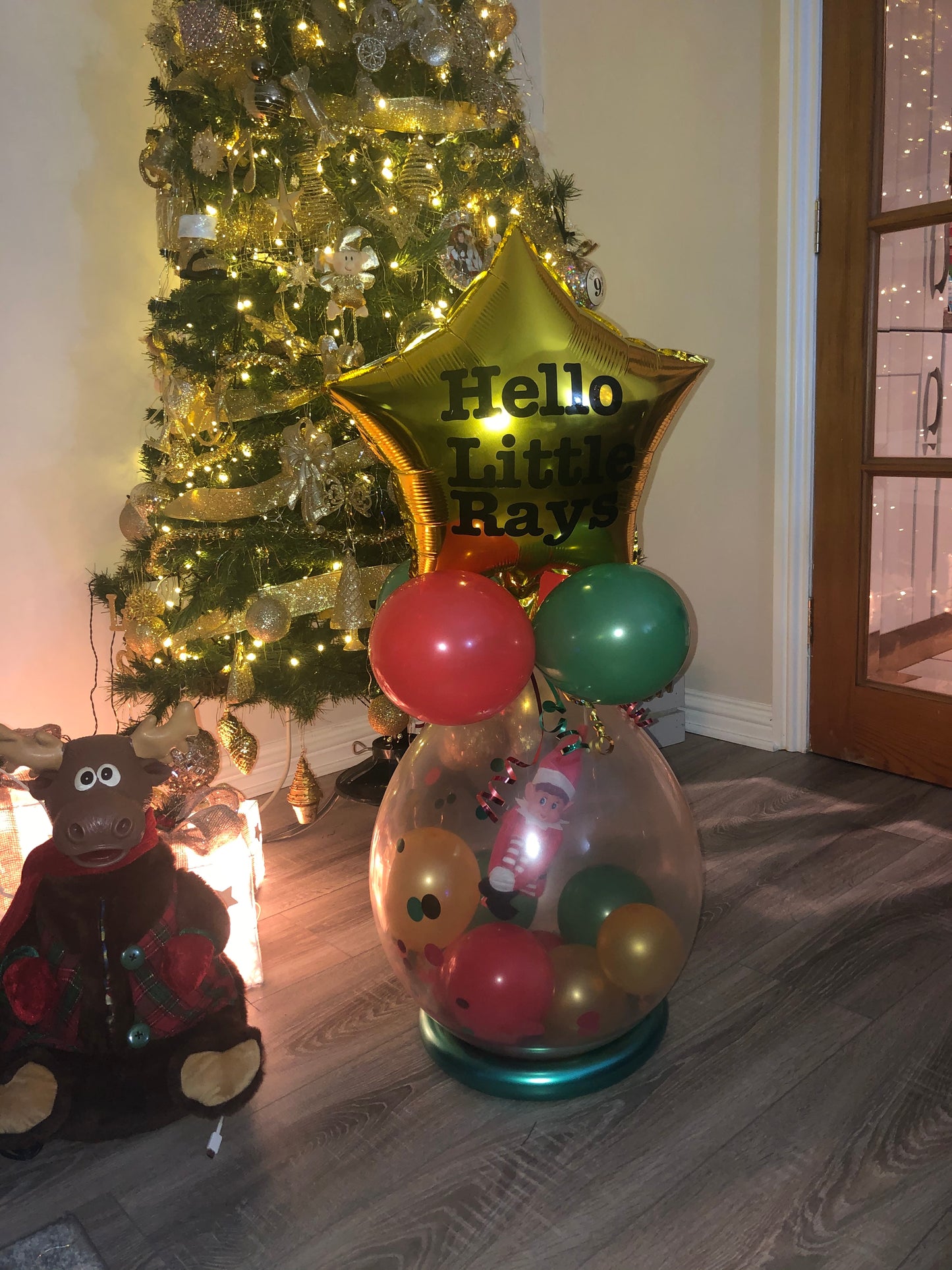 Elf Balloon arrival kit